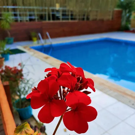 Eldorado Hotel 3*