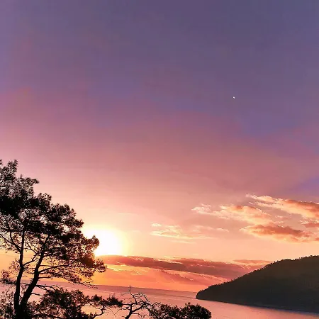 Eldorado מלון 3*